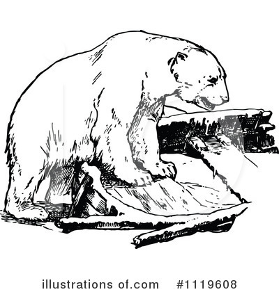Royalty-Free (RF) Polar Bear Clipart Illustration by Prawny Vintage - Stock Sample #1119608