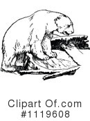 Polar Bear Clipart #1119608 by Prawny Vintage