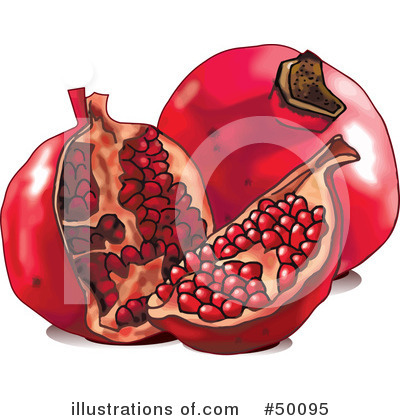 Royalty-Free (RF) Pomegranate Clipart Illustration by Pushkin - Stock Sample #50095