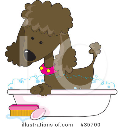Royalty-Free (RF) Poodle Clipart Illustration by Maria Bell - Stock Sample #35700