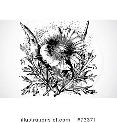 Royalty-Free (RF) Poppy Clipart Illustration by BestVector - Stock Sample #73371