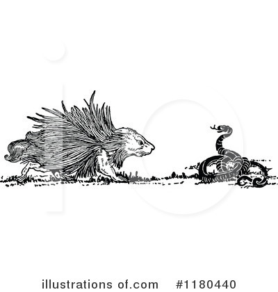 Royalty-Free (RF) Porcupine Clipart Illustration by Prawny Vintage - Stock Sample #1180440