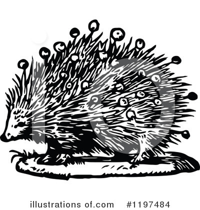 Royalty-Free (RF) Porcupine Clipart Illustration by Prawny Vintage - Stock Sample #1197484
