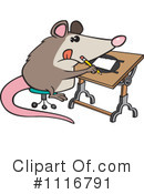 Possum Clipart #1116791 by toonaday