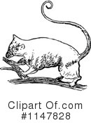 Possum Clipart #1147828 by Prawny Vintage