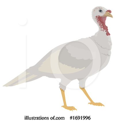 Turkey Bird Clipart #1691996 by Vector Tradition SM