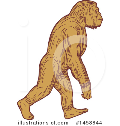 Royalty-Free (RF) Primate Clipart Illustration by patrimonio - Stock Sample #1458844