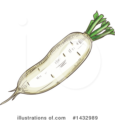 Daikon Clipart #1432989 by Vector Tradition SM