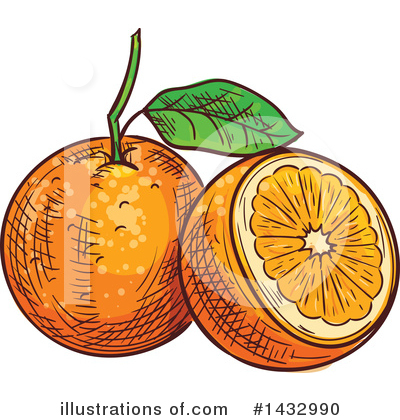 Navel Orange Clipart #1432990 by Vector Tradition SM