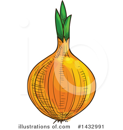 Onion Clipart #1432991 by Vector Tradition SM