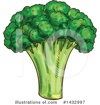 Broccoli Clipart #1432997 by Vector Tradition SM