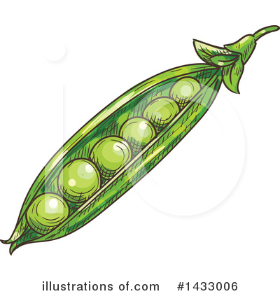 Pea Clipart #1433006 by Vector Tradition SM