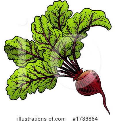 Beets Clipart #1736884 by AtStockIllustration