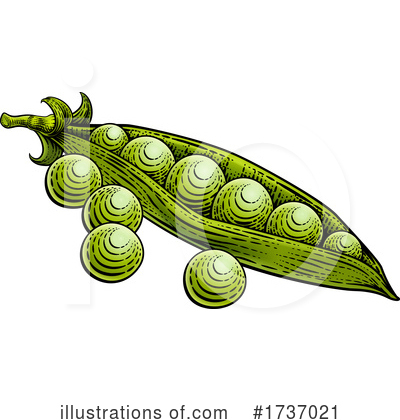 Peas Clipart #1737021 by AtStockIllustration