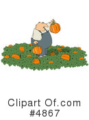 Pumpkin Clipart #4867 by djart
