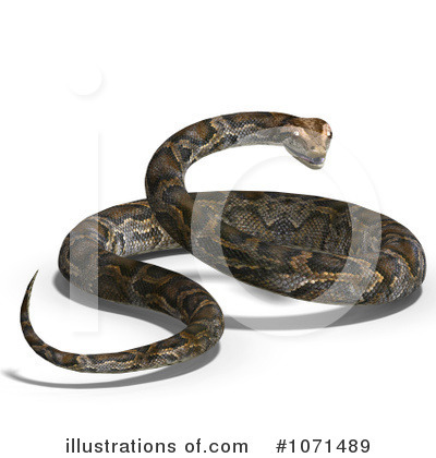 Python Clipart #1071504 - Illustration by Ralf61