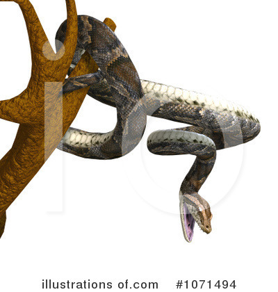 Python Clipart #1071507 - Illustration by Ralf61