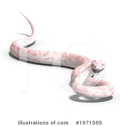 Python Clipart #1071507 - Illustration by Ralf61