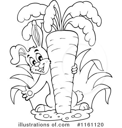 Carrot Clipart #1161120 by visekart