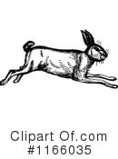 Rabbit Clipart #1166035 by Prawny Vintage