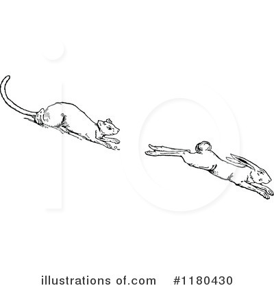 Weasel Clipart #1180430 by Prawny Vintage
