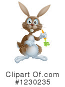Rabbit Clipart #1230235 by AtStockIllustration