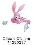 Rabbit Clipart #1230237 by AtStockIllustration
