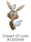 Rabbit Clipart #1230495 by AtStockIllustration