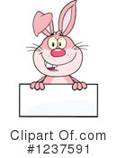 Rabbit Clipart #1237591 by Hit Toon
