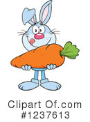 Rabbit Clipart #1237613 by Hit Toon