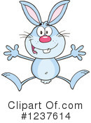 Rabbit Clipart #1237614 by Hit Toon