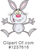 Rabbit Clipart #1237616 by Hit Toon