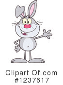 Rabbit Clipart #1237617 by Hit Toon