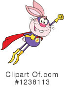 Rabbit Clipart #1238113 by Hit Toon