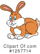 Rabbit Clipart #1267714 by LaffToon