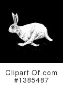 Rabbit Clipart #1385487 by lineartestpilot