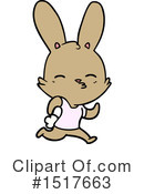 Rabbit Clipart #1517663 by lineartestpilot