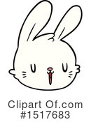 Rabbit Clipart #1517683 by lineartestpilot