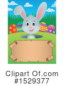 Rabbit Clipart #1529377 by visekart