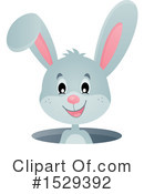 Rabbit Clipart #1529392 by visekart