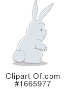 Rabbit Clipart #1665977 by cidepix