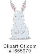 Rabbit Clipart #1665979 by cidepix