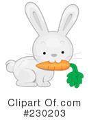 Rabbit Clipart #230203 by BNP Design Studio