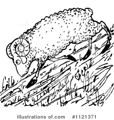 Sheep Clipart #1121371 by Prawny Vintage