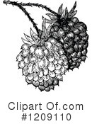 Raspberry Clipart #1209110 by Prawny Vintage