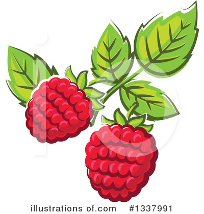 Fruit Clipart #1337991 by Vector Tradition SM