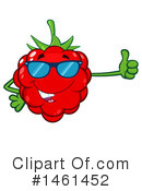 Raspberry Clipart #1461452 by Hit Toon