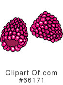Raspberry Clipart #66171 by Prawny