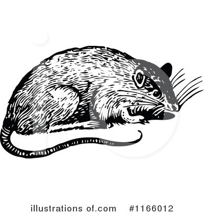 Royalty-Free (RF) Rat Clipart Illustration by Prawny Vintage - Stock Sample #1166012