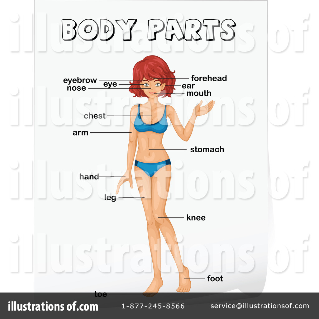 Body Parts Clipart 1140639 Illustration By Graphics Rf